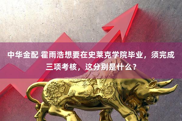 中华金配 霍雨浩想要在史莱克学院毕业,须完成三项考核,这分别是什么?