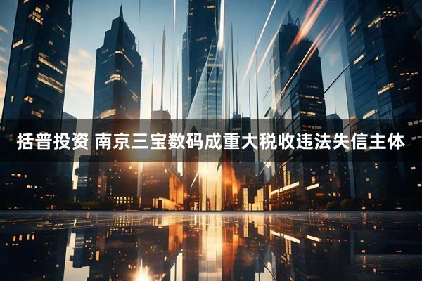 括普投资 南京三宝数码成重大税收违法失信主体