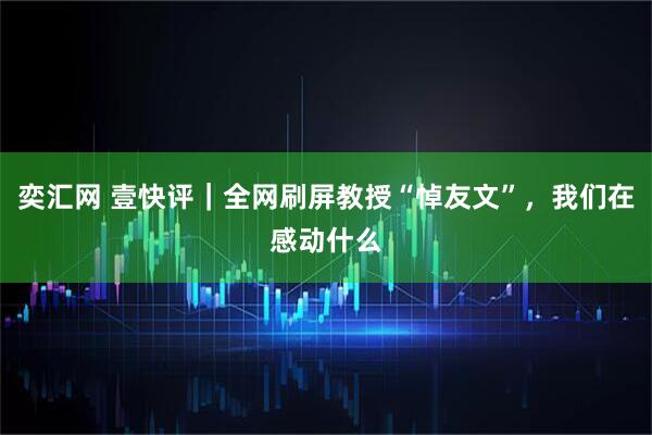 奕汇网 壹快评｜全网刷屏教授“悼友文”，我们在感动什么
