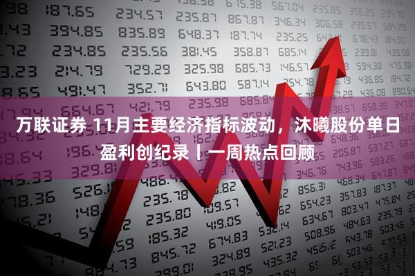 万联证券 11月主要经济指标波动，沐曦股份单日盈利创纪录丨一周热点回顾