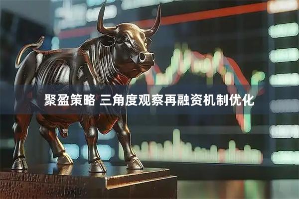 聚盈策略 三角度观察再融资机制优化