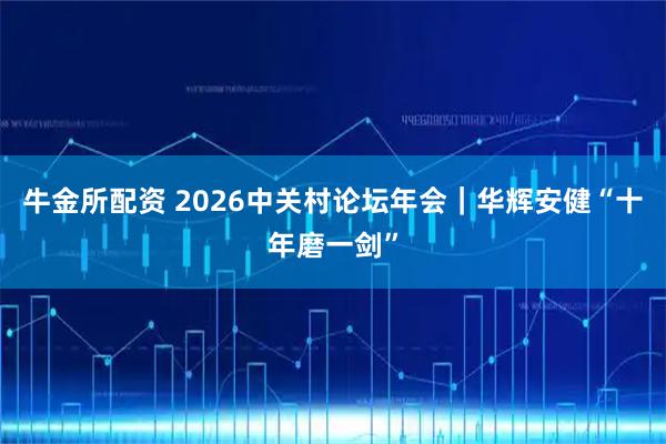 牛金所配资 2026中关村论坛年会｜华辉安健“十年磨一剑”