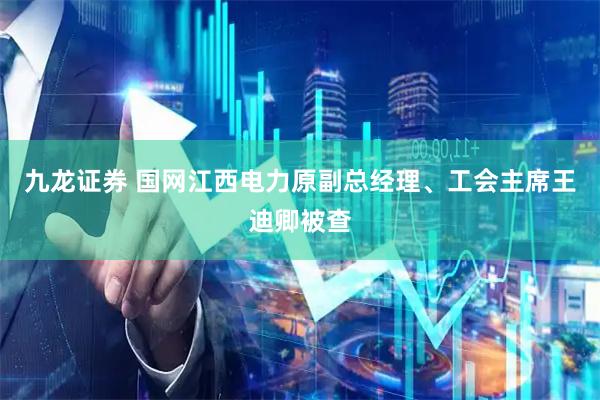 九龙证券 国网江西电力原副总经理、工会主席王迪卿被查