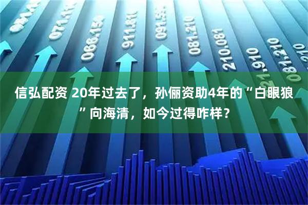 信弘配资 20年过去了，孙俪资助4年的“白眼狼”向海清，如今过得咋样？