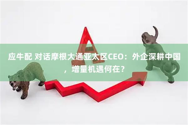 应牛配 对话摩根大通亚太区CEO:外企深耕中国,增量机遇何在?