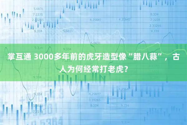 掌互通 3000多年前的虎牙造型像“腊八蒜”，古人为何经常打老虎？
