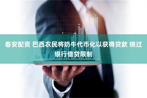 春安配资 巴西农民将奶牛代币化以获得贷款 绕过银行借贷限制